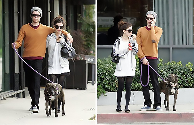 Adam Brody Rachel Bilson Share Custody Good Pit Bulls